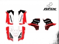 FOURTRAX 2019 FERRO E AÇO 2