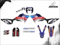 SHERCO 300 2012 #28 DOG ROMA