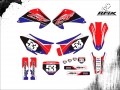 CRF 230 2006 #53 TESTA