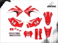 CRF 230 2015 #14 BALA RACING