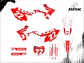 CRF 230 2015 #22 NETO MOURA