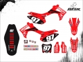 CRF 250 2014 GEICO #97 FABRICIO