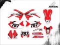 CRF 450 2009 #787
