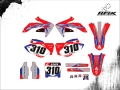 CRF 450R 2006 #310 ELIEL