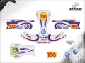 KART #100 EMERSON v2