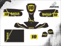 KART BAGUA #10 CELIO VINICIUS