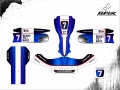 KART BIREL BRAVAR FERNANDO #7 v2