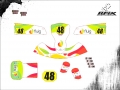 KART CADETE #48 CAIO LACERDA V4