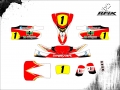 KART CADETE BIREL #1 MARCELO