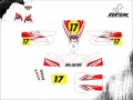 KART CADETE BIREL #17 DAVI