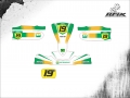 KART CADETE BIREL # BR BRENO PETROBRAS