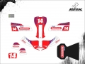 KART GABRIEL RAMOS #14