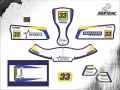 KART MEGA #33 AMADEU V2