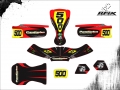 KART MEGA #500 PAULINHO