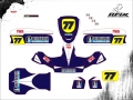 KART MINI BIREL #77 DIRETRIZ v1