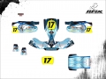 KART MINI CADETE #17 DAVI v3
