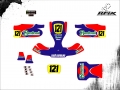 KART MINI CADETE #21 CAUÃ v2
