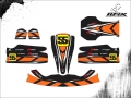 KART ROMA 2011 C. VIEIRA #55