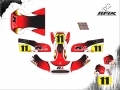 KART TECHSPEED #11 MARCIO LEITE V2