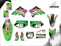 KX 450F 2006 #46 LUIZ