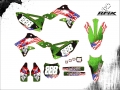 KX 450F 2014 #888