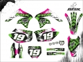 KXF 250 2007 #19 DAVID
