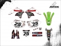 KXF 250 2007 #25 PG