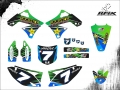 KXF 250 2012 VINICIUS #7