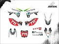 KZF 250 2014 Igor Torres #711