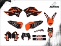KTM 2009 450 EXC #13 JEAN PLUSCAR