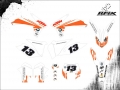 KTM 300 2011 Laercio #13