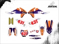 KTM 300 xc 2018 #431