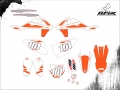 KTM 450 EXC 2018 #101 ROGERIO