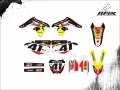 RMZ 250 2015 #41 RIVERA