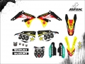 RMZ 450 2009 #555 DIEL