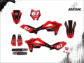 HUSQ TE 250 2015 #17 OSMARZINHO v2