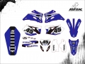 WR 250 2009 #45 WANDERLEI