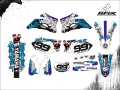 WR 250 2009 #99 BRUNATTO
