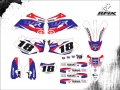 WR 450 2008 #18 MATHEUS GALLERT