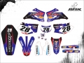 WR 450 2009 #28 WILLIAM
