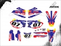 WR 450 2010 #07 CLEISON V2