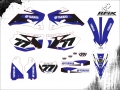 WR 450 2010 #77 DELFIN JR