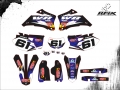 WR 450 2011 #61 PICOLÉ