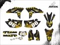 WR 450 2013 #06 Pantera