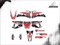 YZ 450 2009 ZE MONTEIRO #1