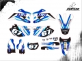wr 250 2009 #67